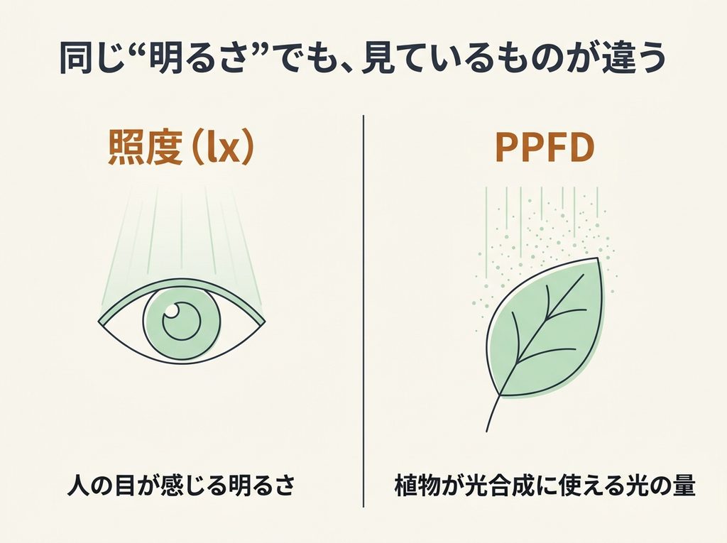 照度（lx）は人の目が感じる明るさ、PPFDは植物が光合成に使える光の量であることを示す図
