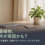 明るい木製デスクの窓際に置かれた観葉植物 - ポトスの鉢植え